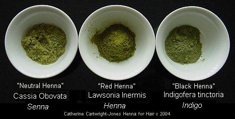 for Hair : Cassia Obovata: what it is, what it does, where you get it